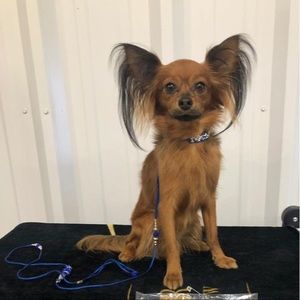 Meet your Posher, Jolanta